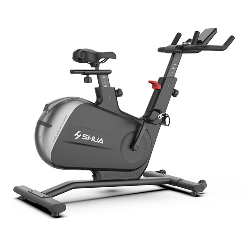 Load image into Gallery viewer, Shua B596 Home Use Spinning Bike