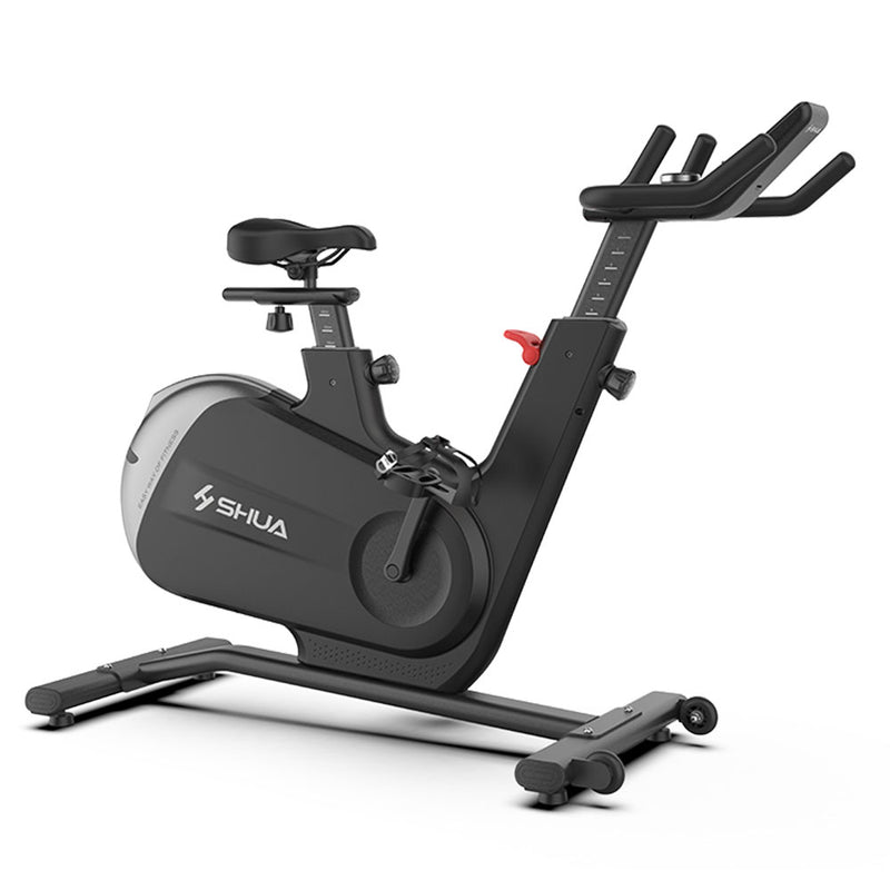Load image into Gallery viewer, Shua B596 Home Use Spinning Bike