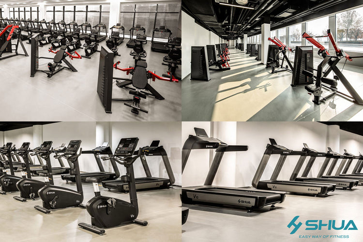 Shua Commercial Fitness Equipment 2