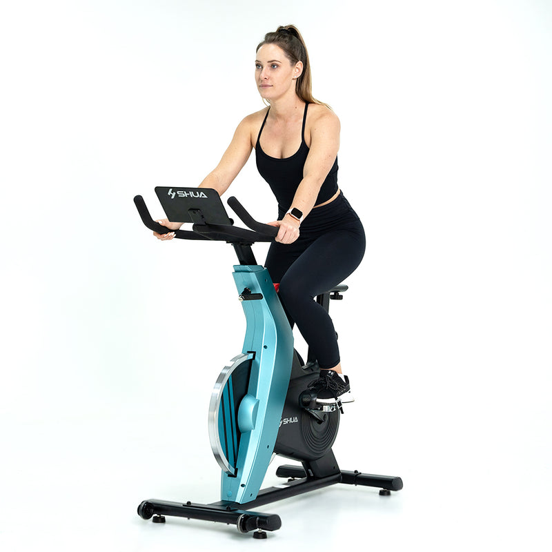 Load image into Gallery viewer, Shua B599 Spinning Bike