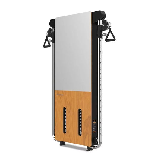 Shua 69 Series Functional Trainer (G699)
