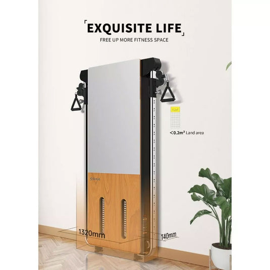 Shua 69 Series Functional Trainer (G699)