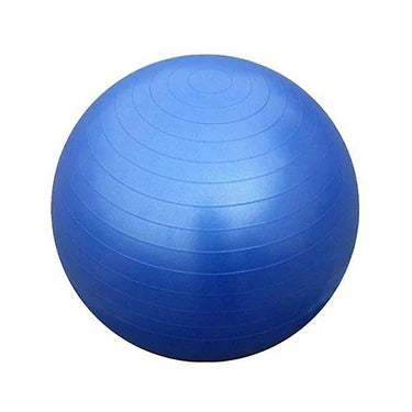 Exercise Ball 55cm
