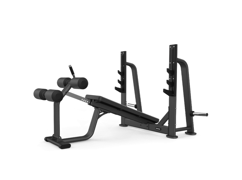 Load image into Gallery viewer, Shua Decline Bench Press (7 Year Warranty)
