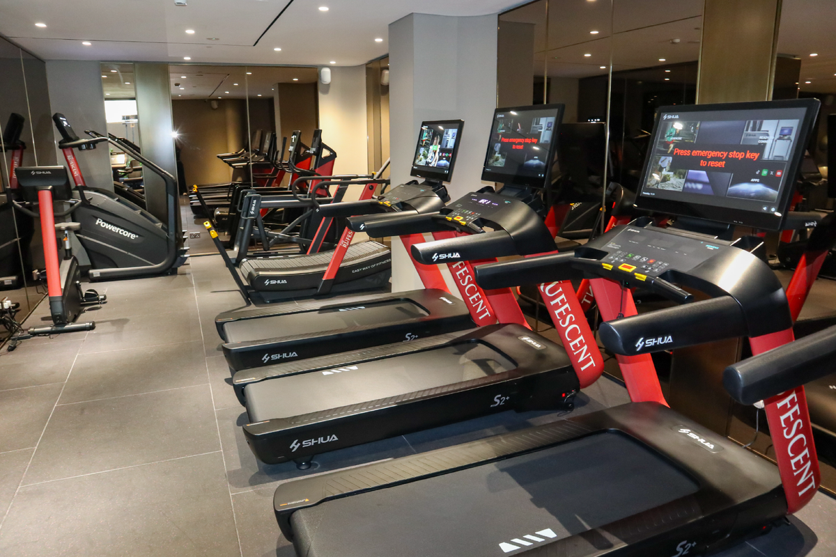 Rufescent Hotel Gym