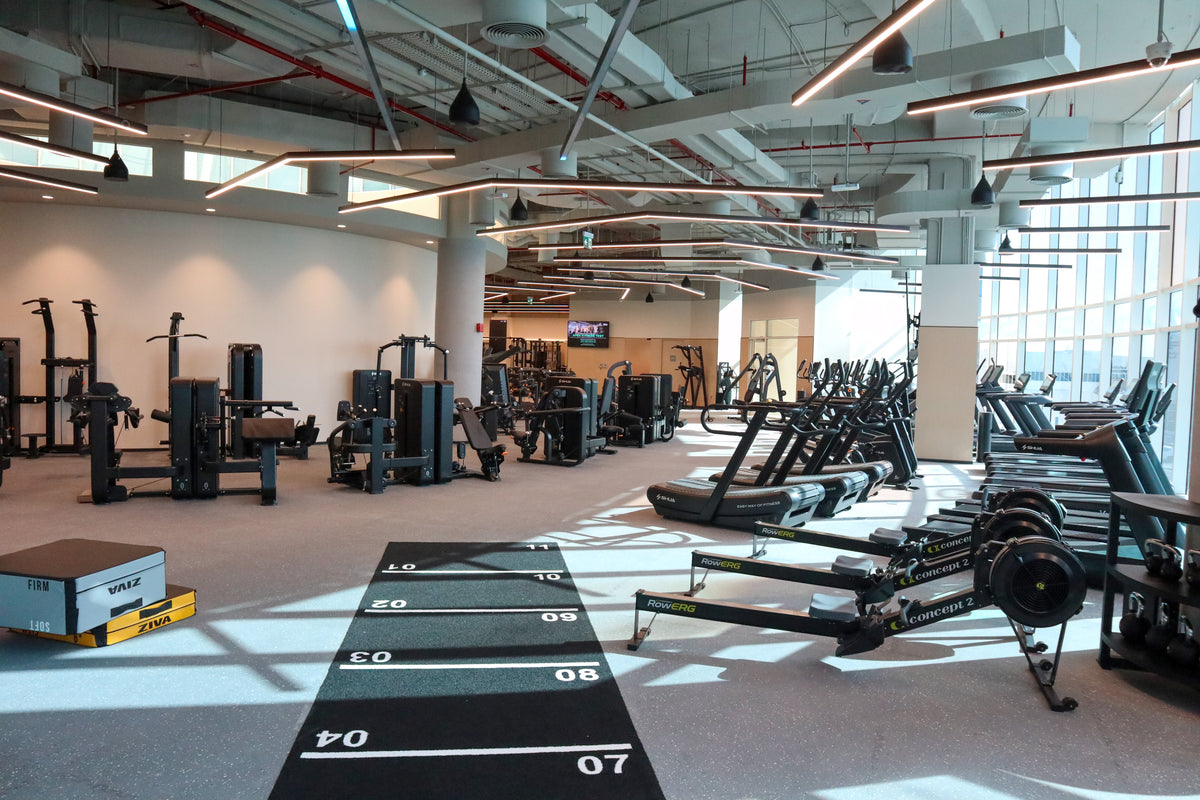Commercial Gyms