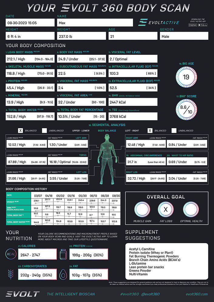 Load image into Gallery viewer, Evolt 360 Body Scanner
