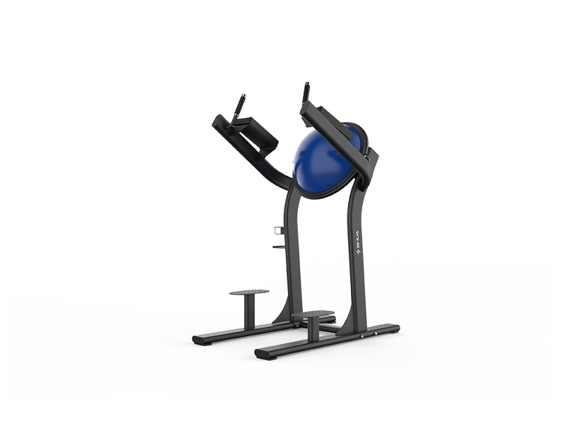 Load image into Gallery viewer, Shua Leg Raise With Balance Ball (7 Year Warranty)

