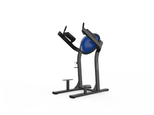 Shua Leg Raise With Balance Ball (7 Year Warranty)