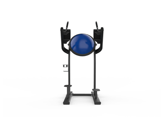 Shua Leg Raise With Balance Ball (7 Year Warranty)