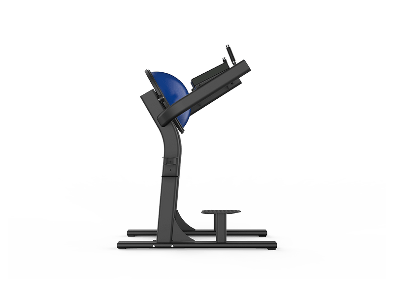 Load image into Gallery viewer, Shua Leg Raise With Balance Ball (7 Year Warranty)
