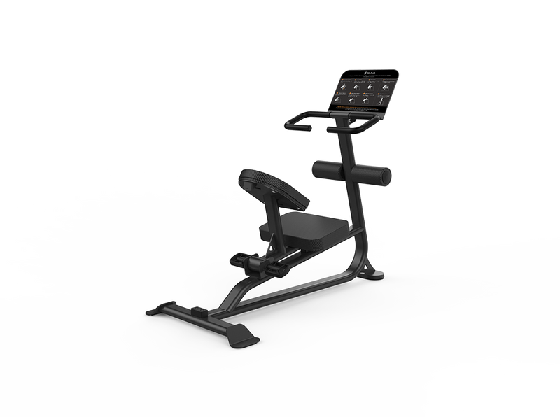 Load image into Gallery viewer, Shua 68 series Stretching Machine
