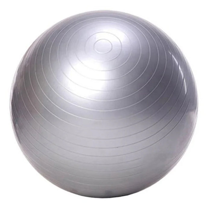 Exercise Ball 55cm