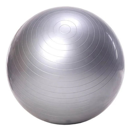 Exercise Ball 55cm